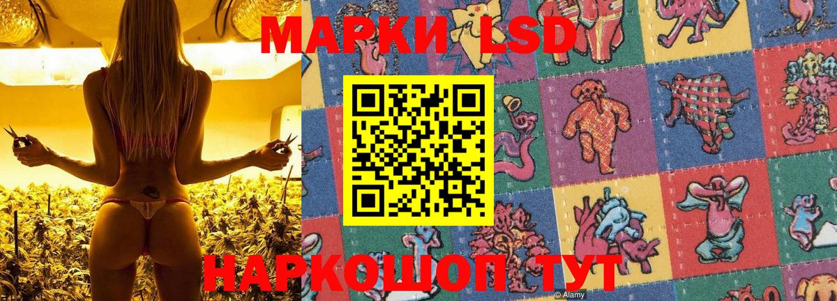 Марки NBOMe 1500мкг  хочу наркоту  Марки NBOMe 1500мкг  Новотроицк  Вход с VPN  Марки NBOMe 