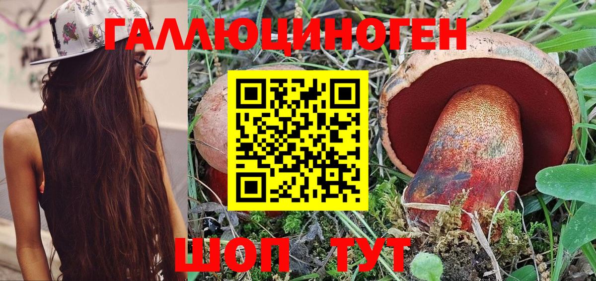 Галлюциногенные грибы мухоморы  Псилоцибиновые грибы GOLDEN TEACHER  Новотроицк  Вход с VPN 